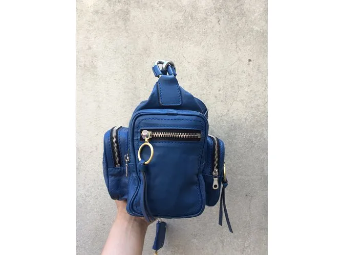 Chloé Bolsos de mano Azul 