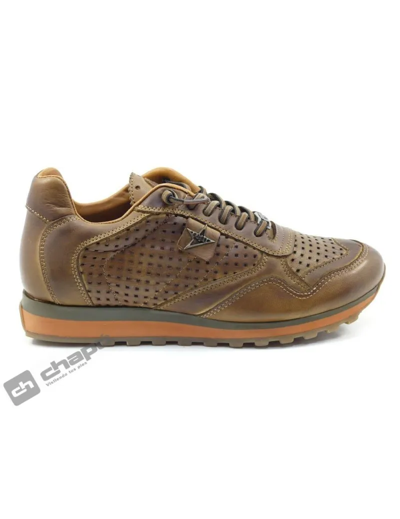 Zapatillas Deportiva Marron Cetti C-848