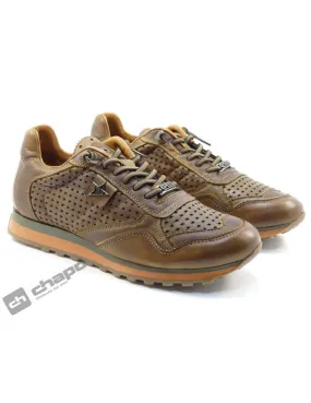 Zapatillas Deportiva Marron Cetti C-848