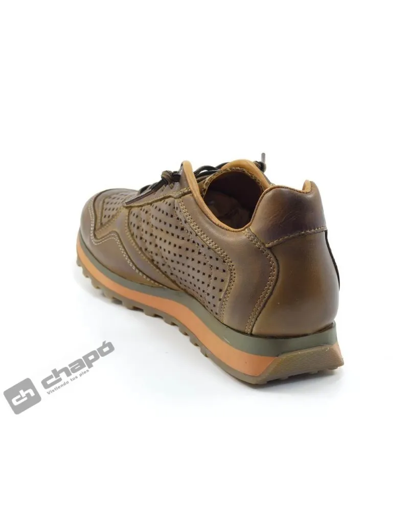 Zapatillas Deportiva Marron Cetti C-848