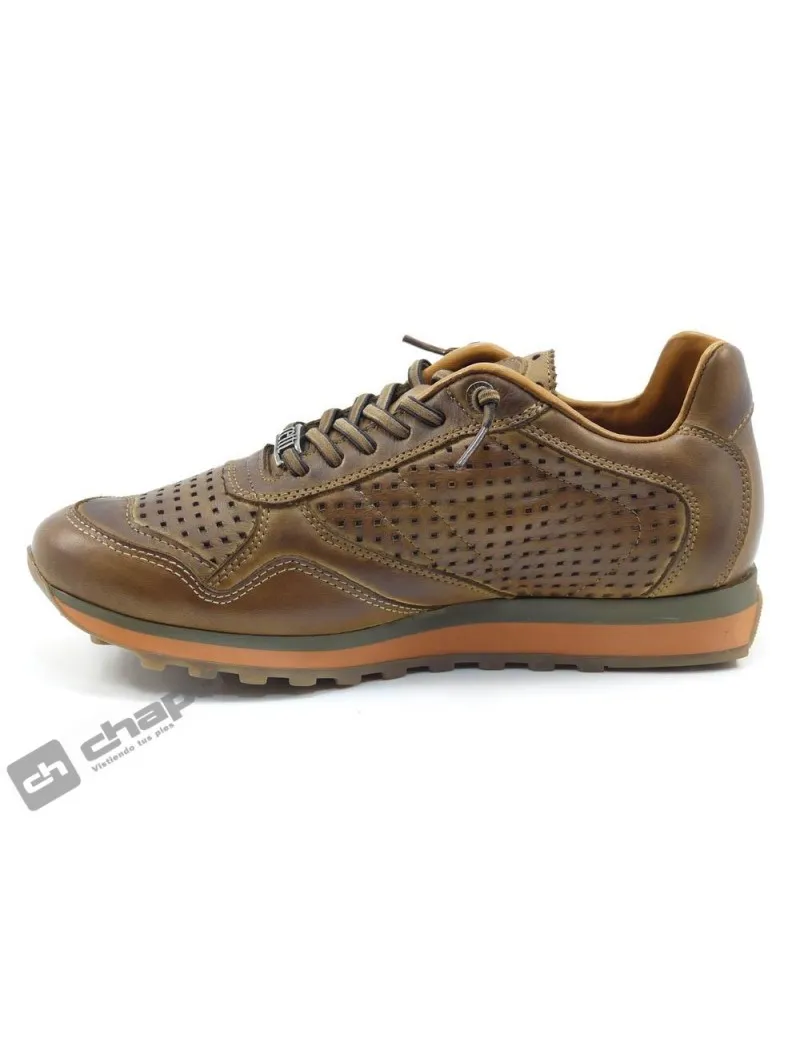 Zapatillas Deportiva Marron Cetti C-848